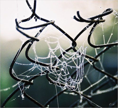 Хитросплетение