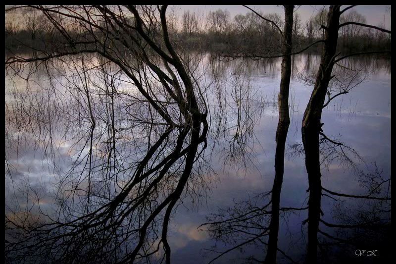 холод ... фото превью
