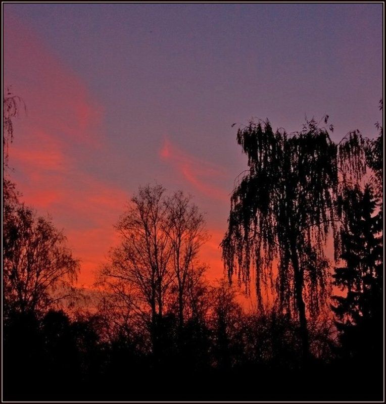 закат, силуэты, осень Силуэты осени фото превью