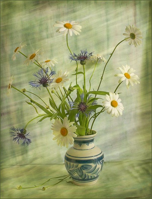 Ромашковый фото превью