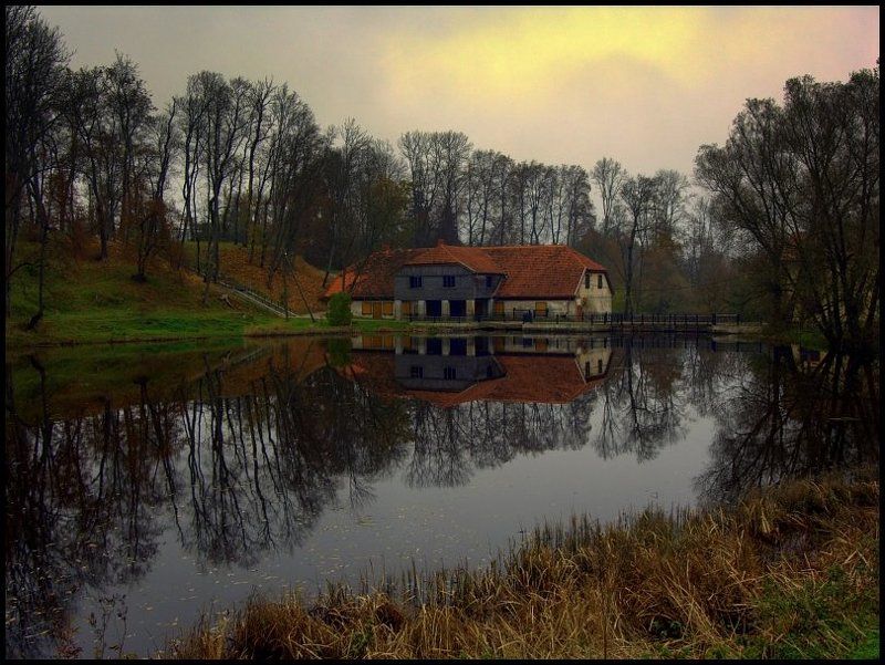 Осень, однако... фото превью