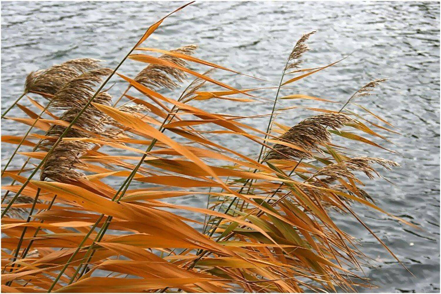 , Александр Батурский