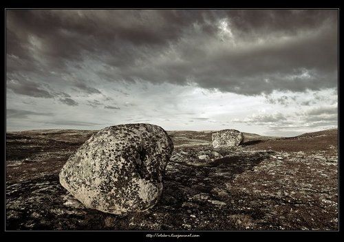 Перекати-камни.