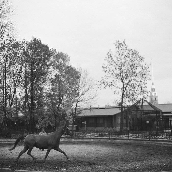 kamushek, 6x6, пленка, 120, киев-6с, волна-3, kamushek