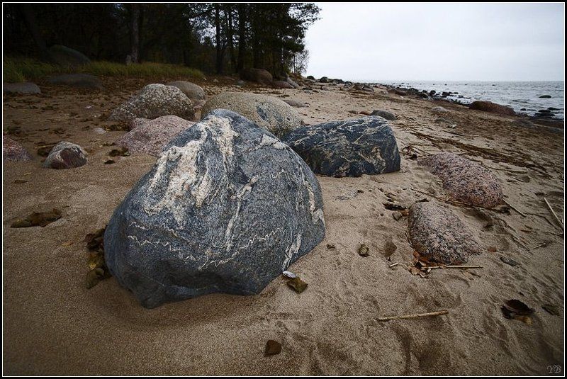 финский залив, камни, осень, камушки фото превью