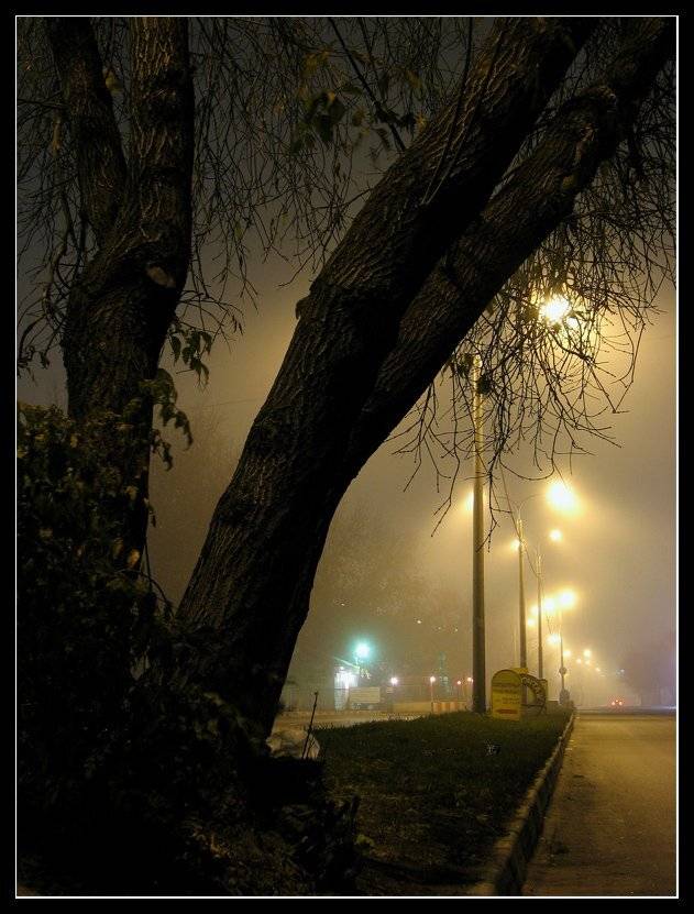 , Лунный Ежик