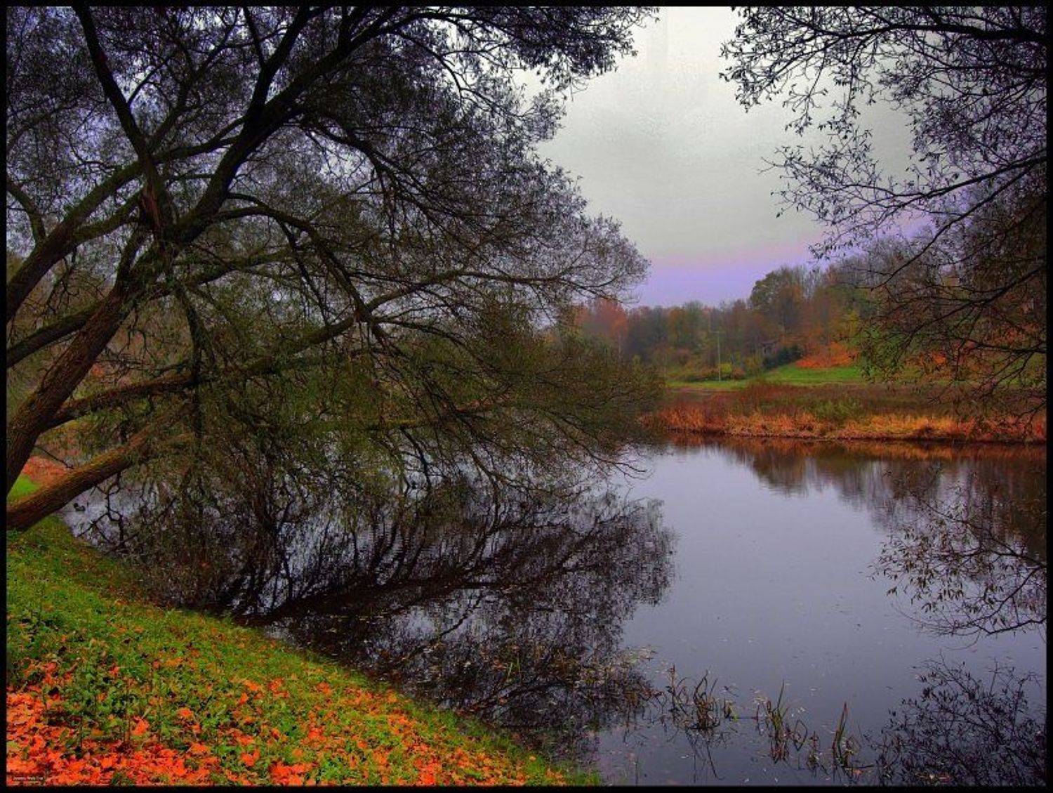 , Cairns (Павел Васильев)