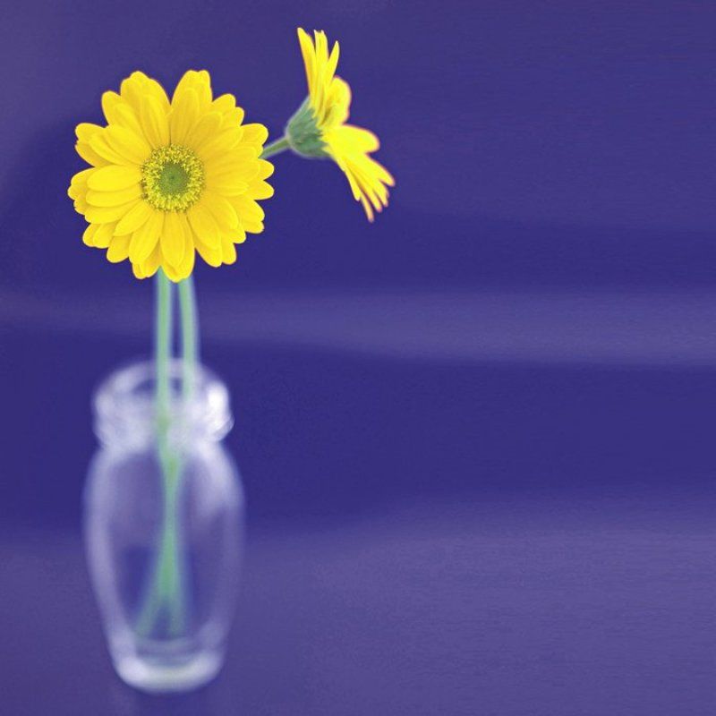 антон шешницан, www.ostudios.ru F= 1/1.2 фото превью