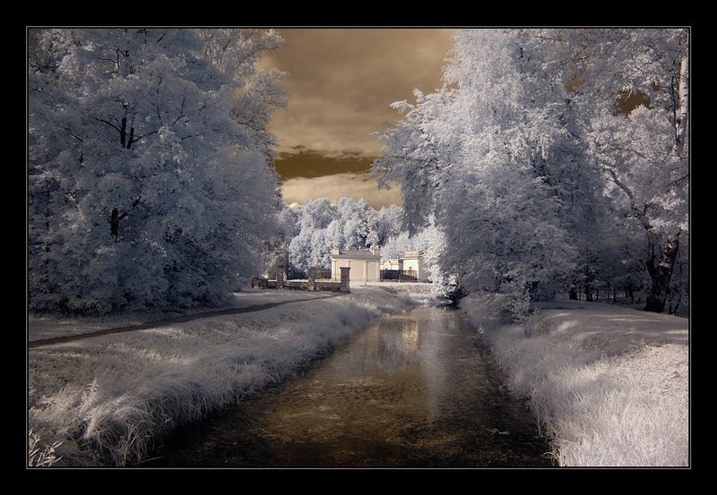 ик, infra red, инфракрасная съемка, кусково Кусково. ИК. . фото превью