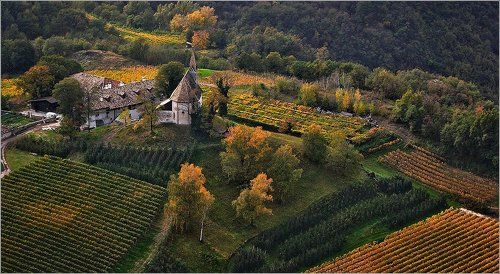 Натуральное хозяйство