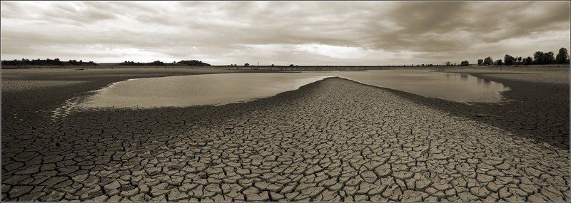 река, псекупс, засуха Крыло бабочки фото превью