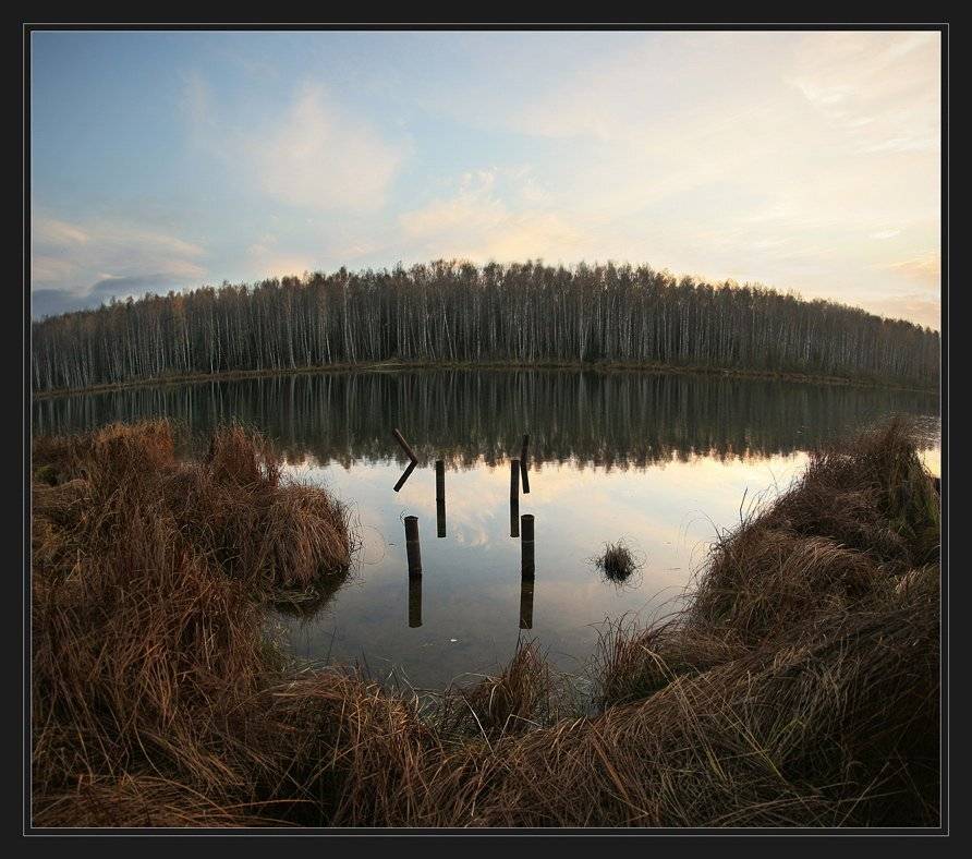 , Сергей Прокошин