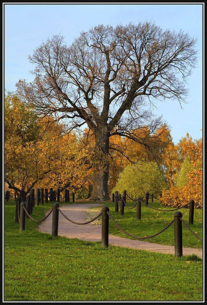 осень , коломенское, Алексей