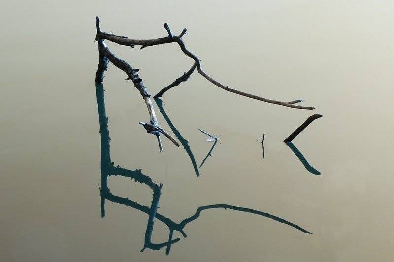 озеро, иероглифы, коряга., senjor