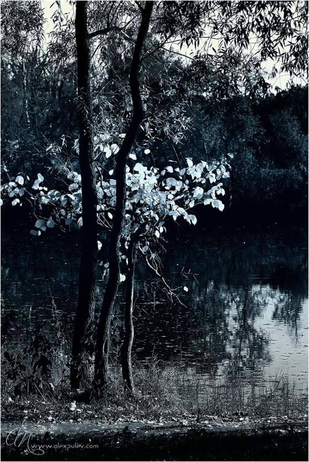 природа, Александр Путев