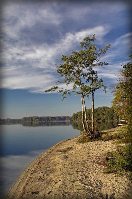 вечер, биссерово, озеро, деревца Три сестры фото превью