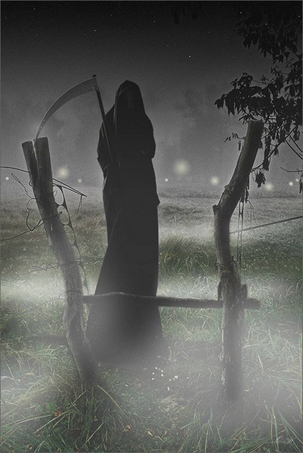 хэллоуин halloween, NO