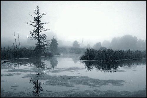 Осень на болоте...