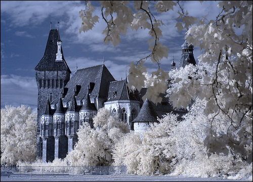 infrared hungary