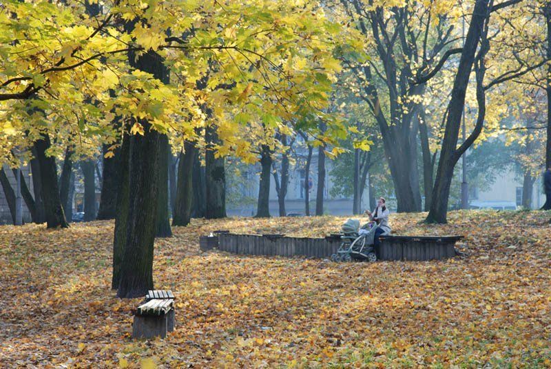 парк, осень, клёпа. ...за то прозрачней свет... фото превью