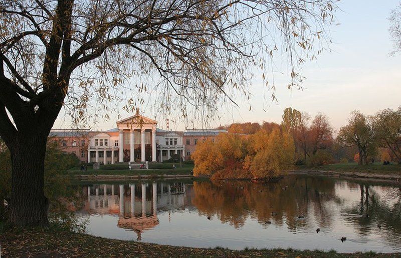 --- фото превью