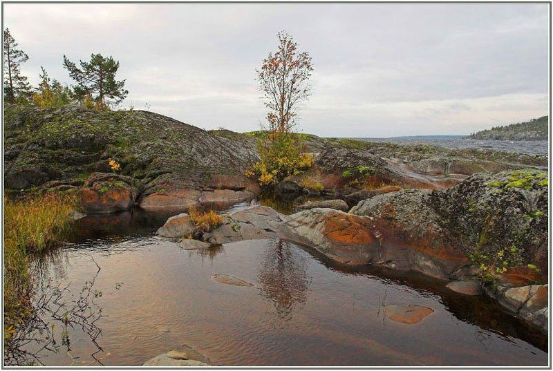 Яркие краски осени фото превью