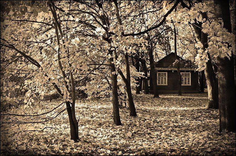 дом, осень, Петрова Мария