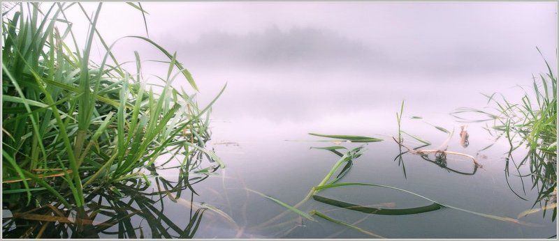 река, утро В тишине речной... фото превью