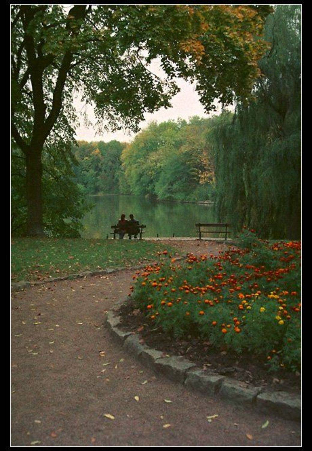 двое, парк, осень, озеро, скамейка, лавочка, умань, софиевка, NikOff (Юрий Руднев)