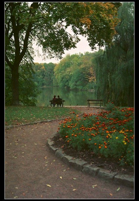 двое, парк, осень, озеро, скамейка, лавочка, умань, софиевка В графском парке... фото превью