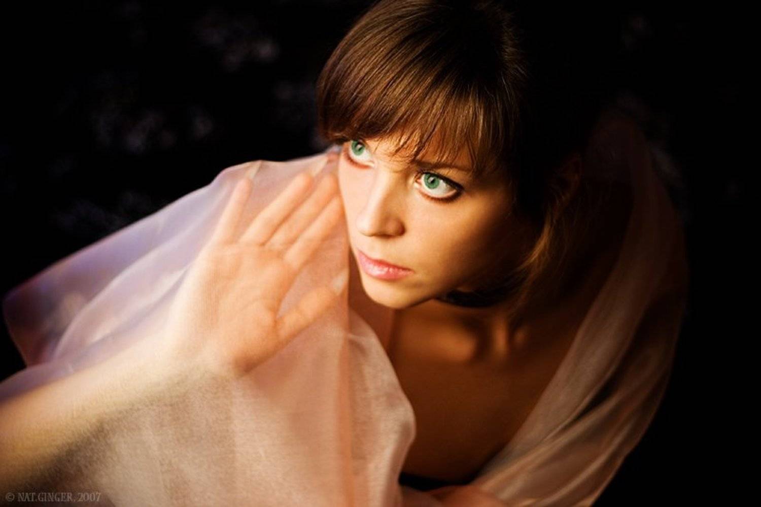 портрет, Ginger