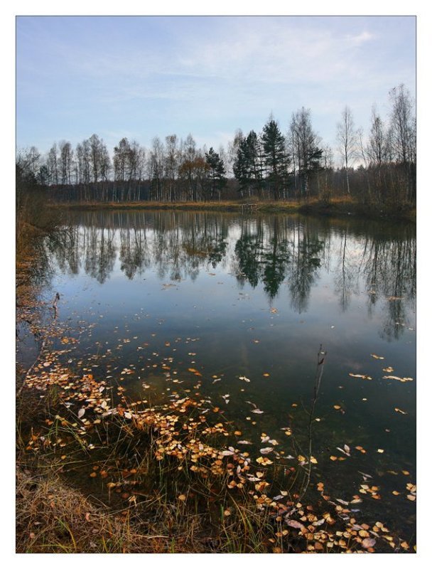 осени россыпь... фото превью