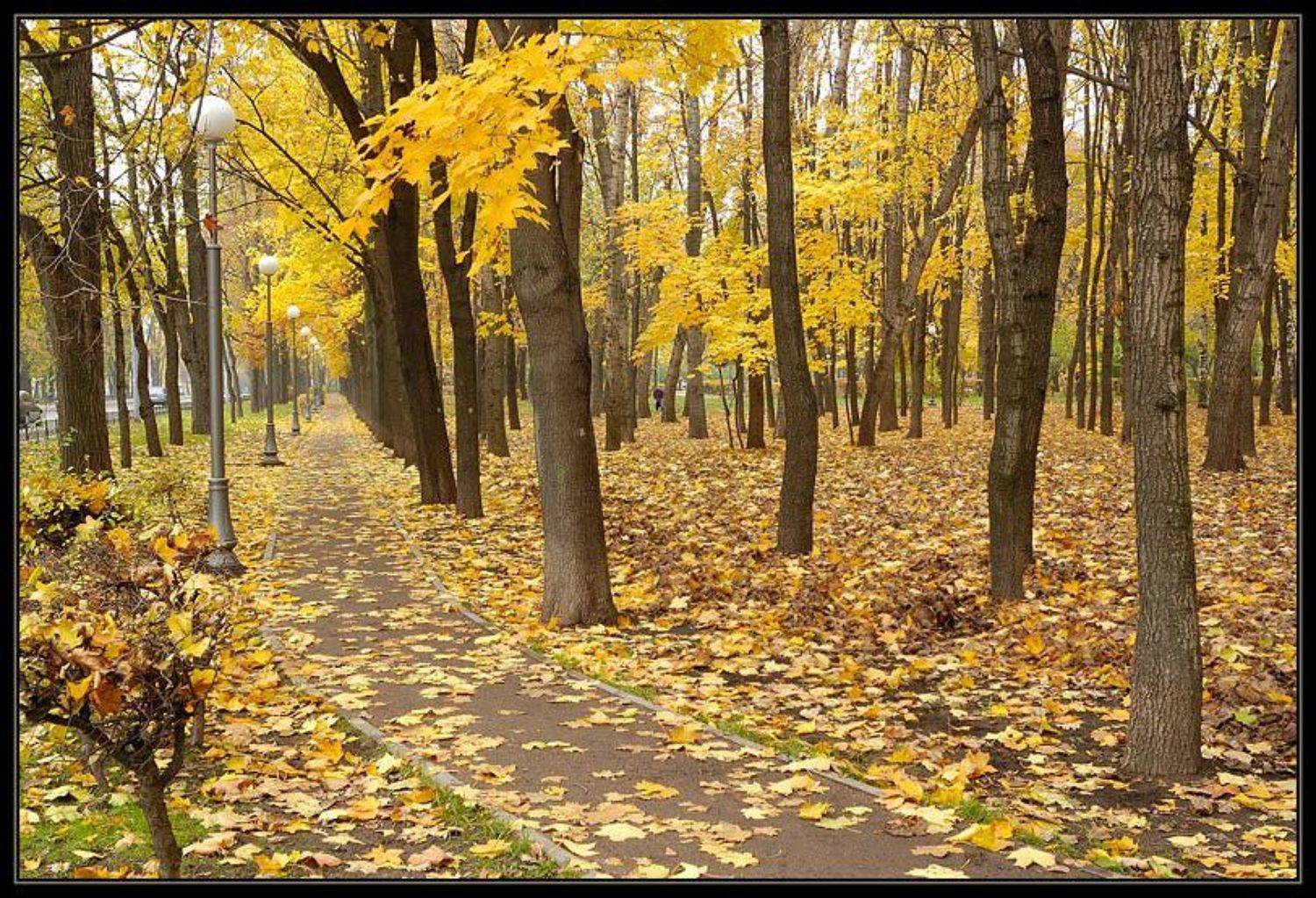 осень, петровский парк, Капустин Николай