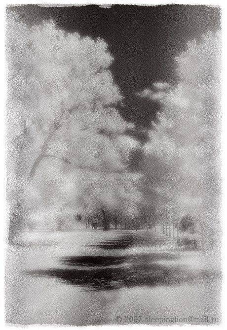 ик, пейзаж, infrared, инфракрасный, инфракрасное, пленка, kodak hie, pilgrim, Pilgrim