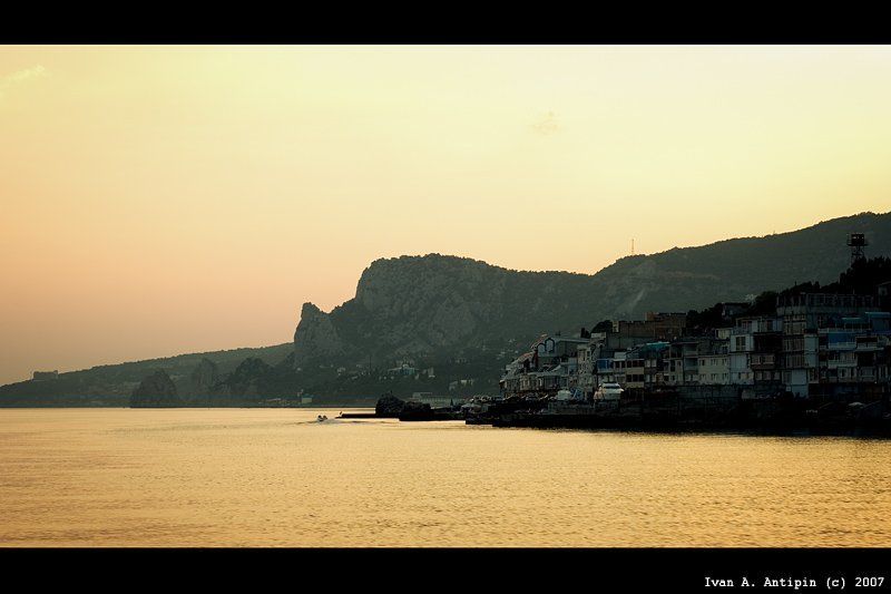 крым, кошка на фоне Кошки фото превью