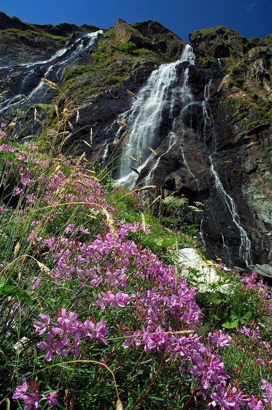 *** фото превью