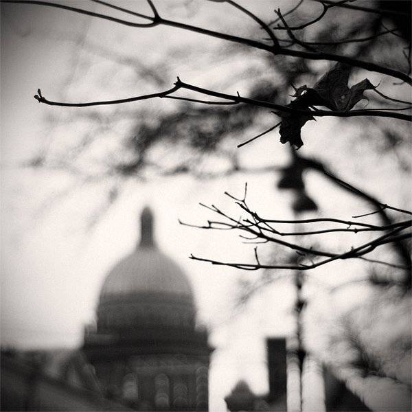 , Дмитрий Плотникофф