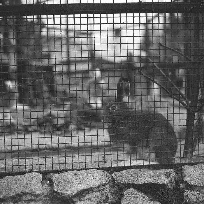 kamushek, 6x6, 120, пленка, киев-6с, волна-3, kamushek