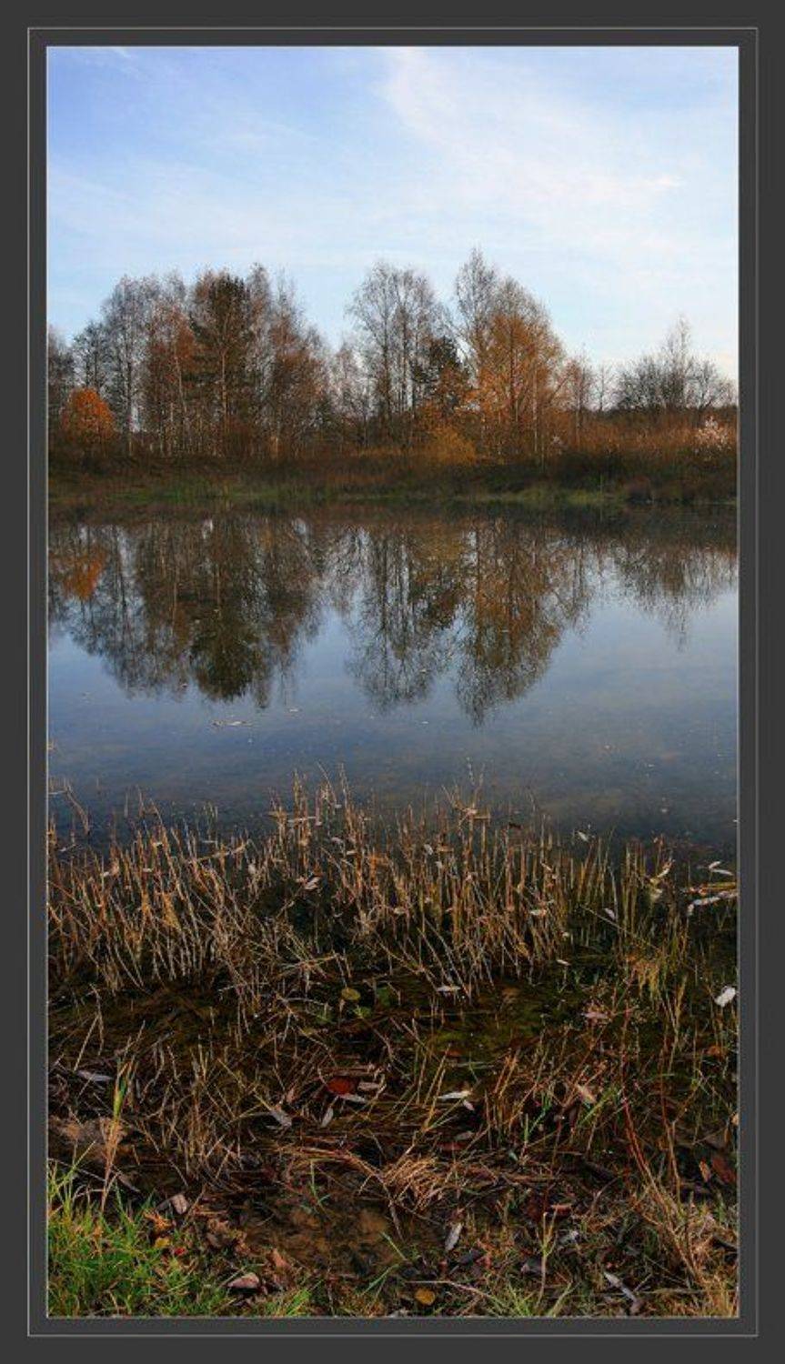 , Сергей Прокошин