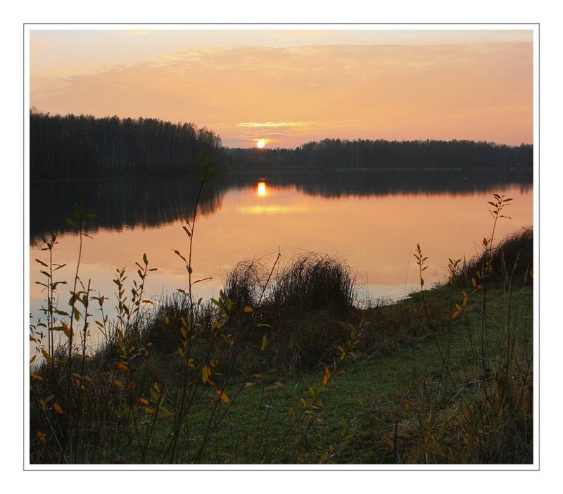 gold autumn.. фото превью