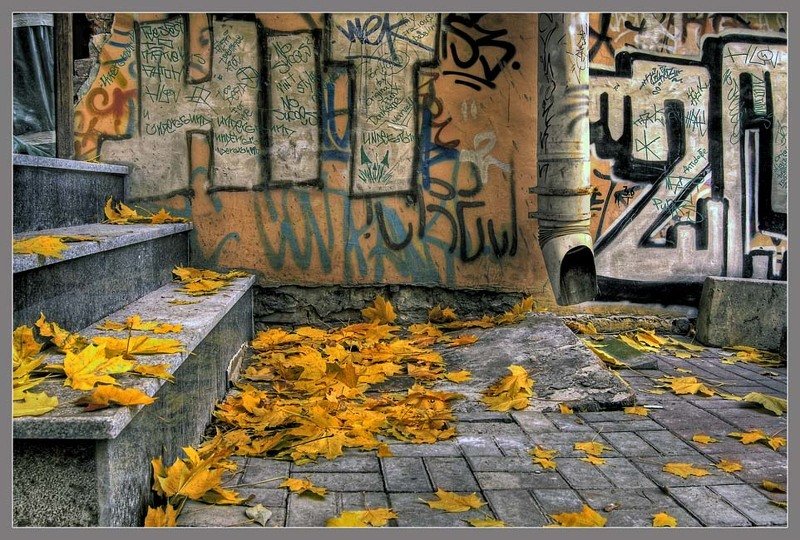 город,осень,двор По местам не хоженным...(1) фото превью