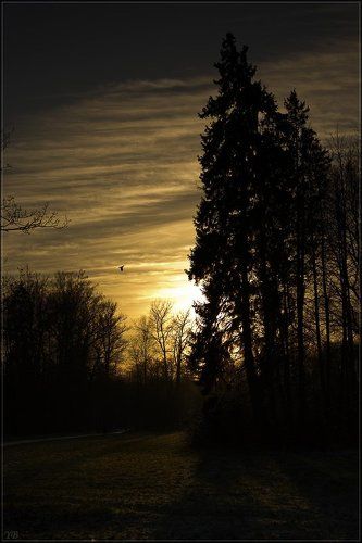 вечером в Павловске