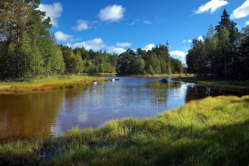 карелия *** фото превью