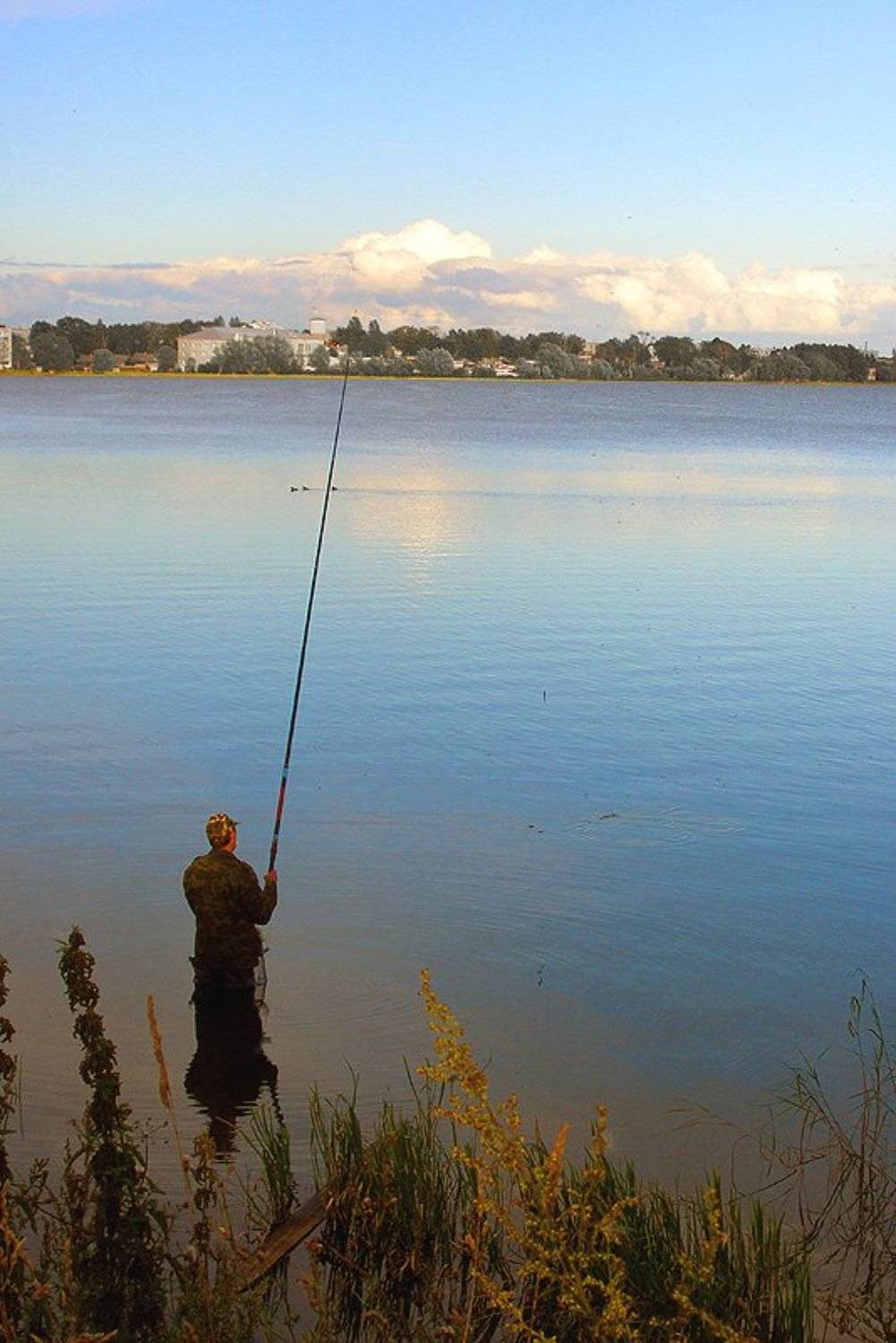 из старого, озеро, рыбак, бологое, Владимир Разумов