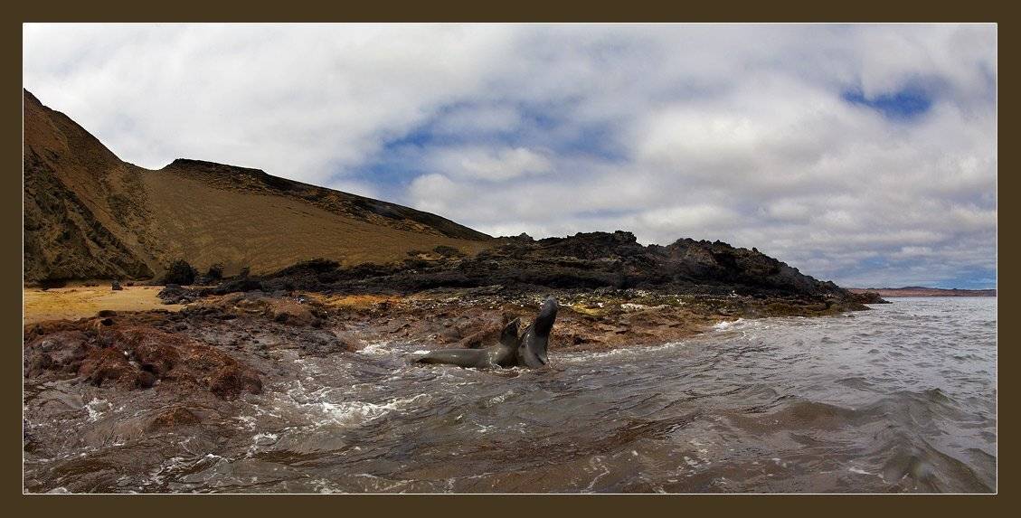 , Марина Кочетова