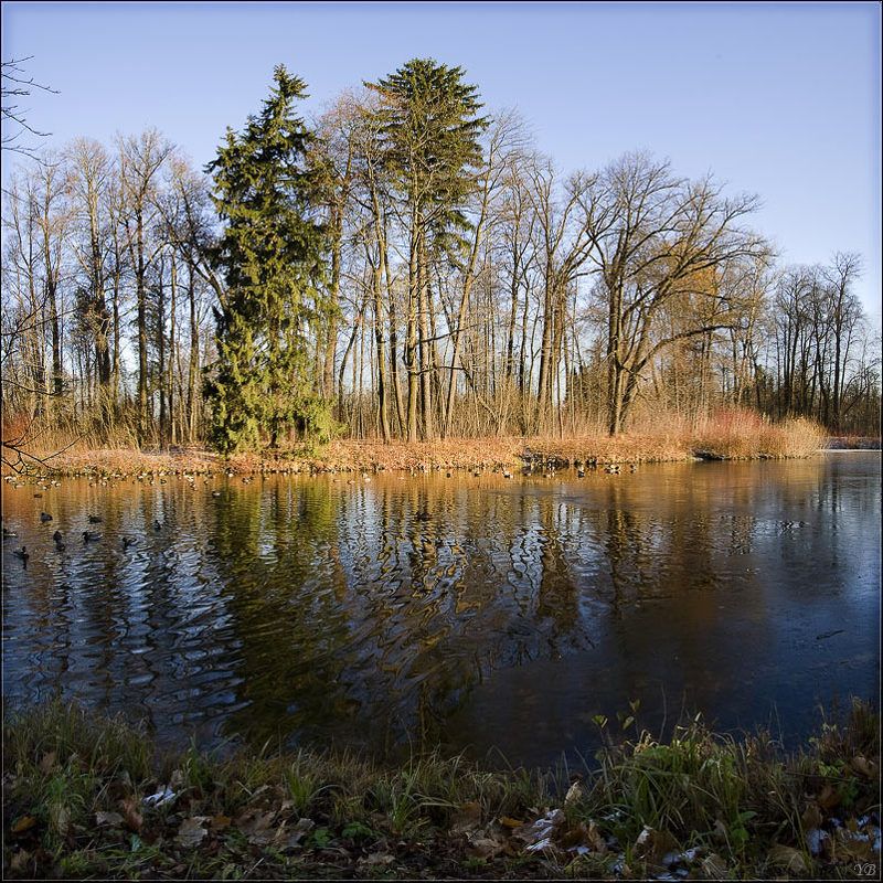 павловск, осень, вечер, лёд  фото превью