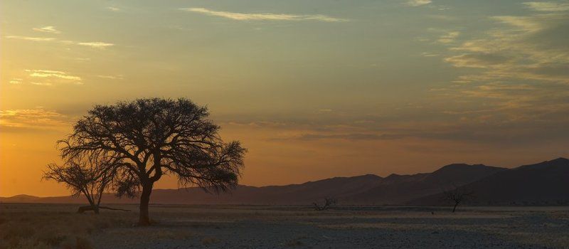 намиб,намибия,пустыня Намиб фото превью