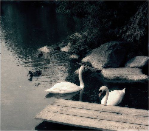 Love...Love...Love...