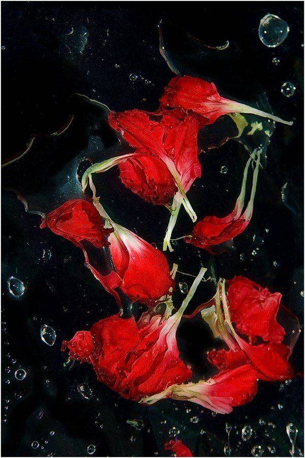 , Александр Батурский