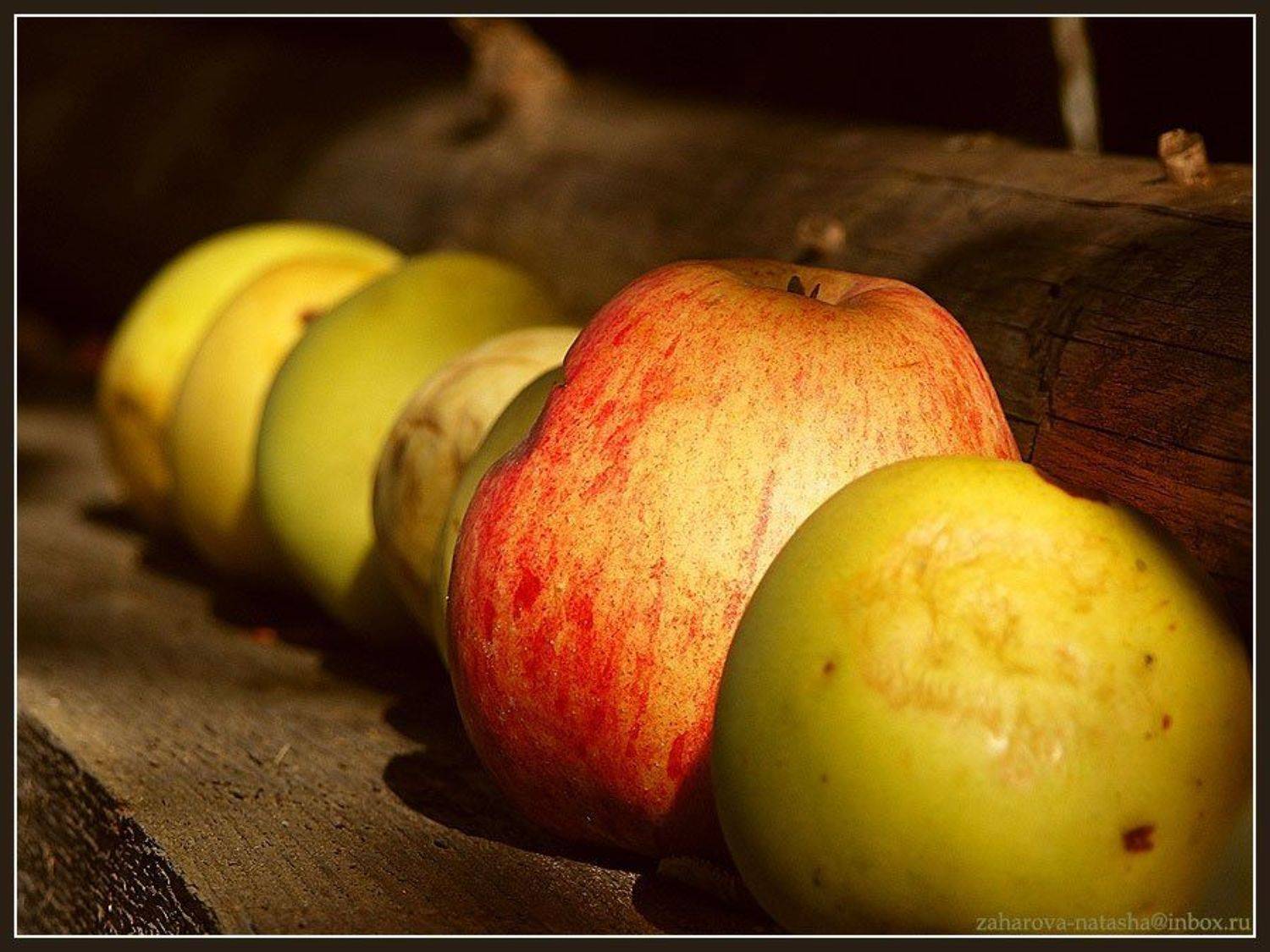 яблоки, юрлово, Наталья Захарова